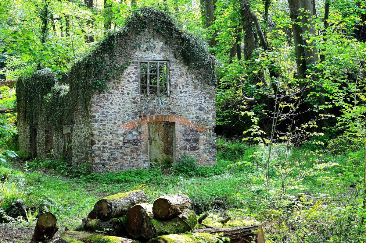 LOST IN THE WOODS: An abandoned building at Holford Glen. PICTURE: Andy Linthorne. PUBLISHED: March 30, 2017