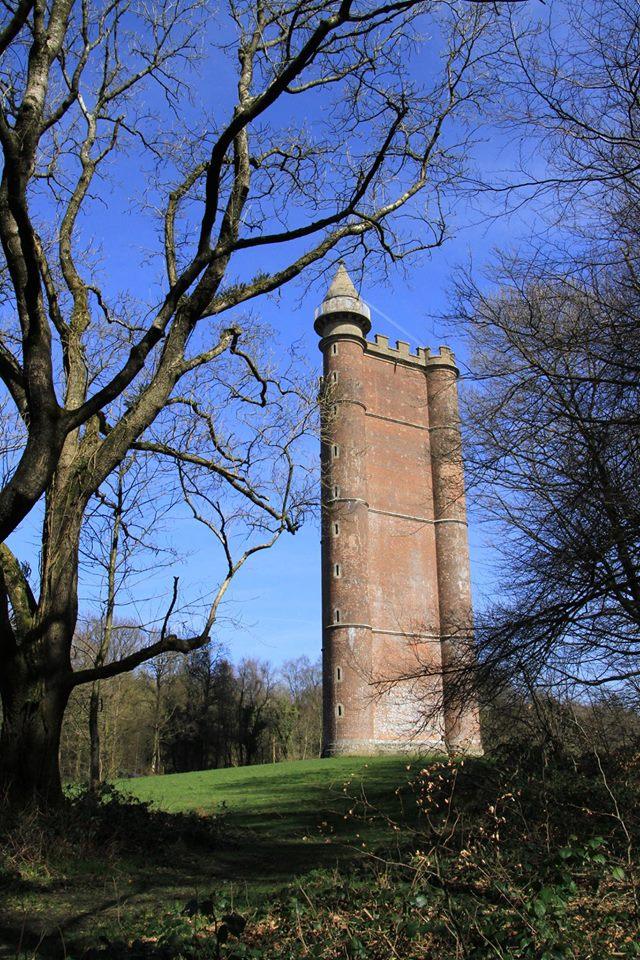 EMERGING FROM THE TREES: King Alfred’s Tower, at Brewham, in the spring sunshine. PICTURE: Anne Rogers. PUBLISHED: April 6, 2017