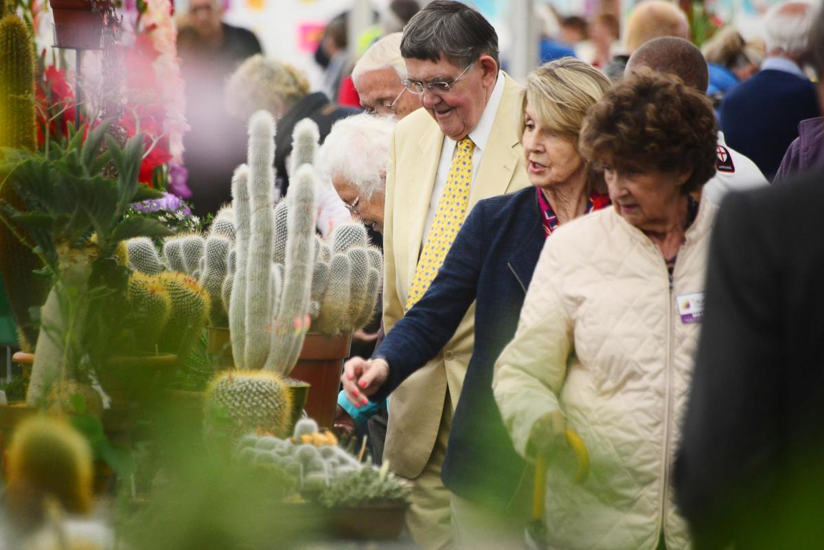 Pictures from Taunton Flower Show 2017