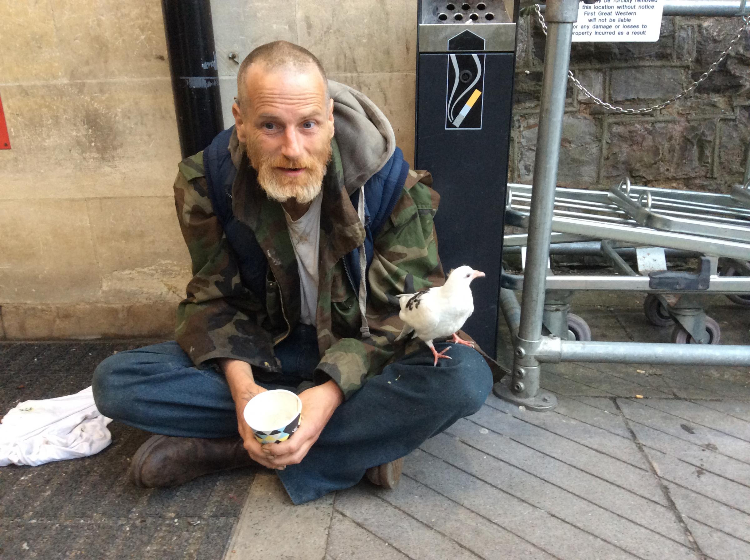 Homeless pigeon