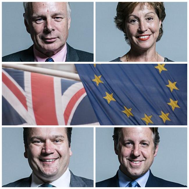 BREXIT VOTE: How Somerset MPs voted